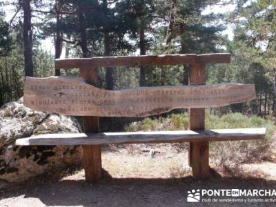 Senda Herreros - Puerto de Navacerrada - Valle de Fuenfría - Ducha de los Alemanes -Embalse Berceas